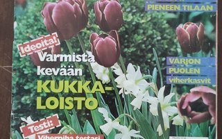 VIHERPIHA -lehti 5/1997