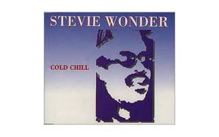 Stevie Wonder (CD) VG+++!! Cold Chill