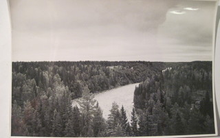 VANHA Valokuva Oulu 1930-l Postikortin Alkup.Mallikappale