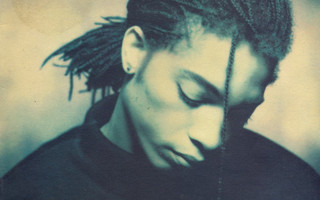 Terence Trent D'Arby - Introducing The Hardline