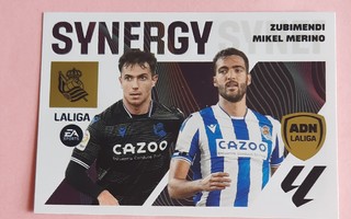 Real Sociedad, Synergy Zubimendi/Mikel Merino 2023-24