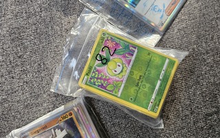 Pokemon holo ja reverse holo kortteja