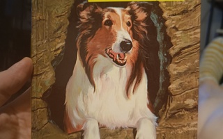 Lassie aarteenetsijänä ( 1967 )