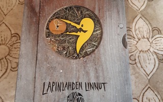 Lapinlahden linnut: Ehkä kaikki boksi