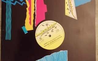 Gene And Jim Are Into Sampling : Shake! (How about...) 12"