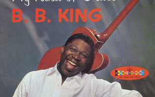 B.B. King -  My Kind Of Blues (CD) HYVÄ KUNTO!!