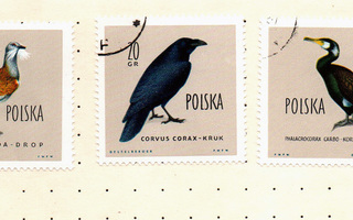 Vanhoja postimerkkejä Puola