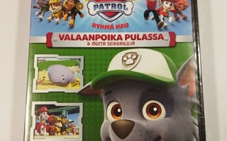 (SL) UUSI! DVD) Paw Patrol - Ryhmä Hau - Valaanpoika Pulassa