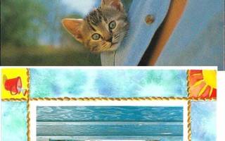 kortti Kissa - erilaisia valokuvakorttipareja