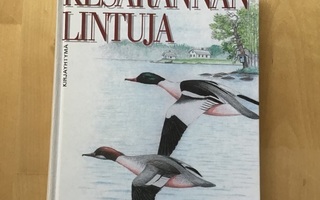 Matti Leinonen : Kesärannan lintuja ( 1997 )