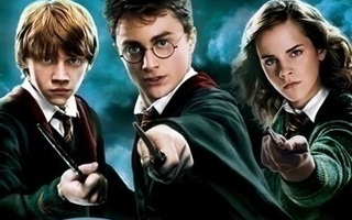 Harry Potter Ja Feeniksin Kilta