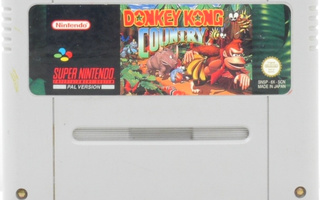 Donkey Kong Country