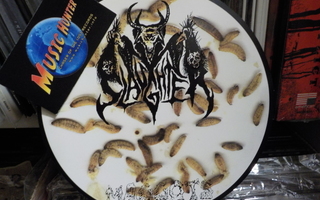 NUNSLAUGHTER / MUTILATED MESSIAH - MAGGOTS M-/M- 7"