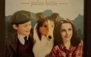 DVD: Lassie palaa kotiin (Suomi)