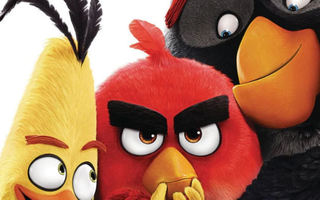 Angry Birds Elokuva dvd / Lastenleffat.fi