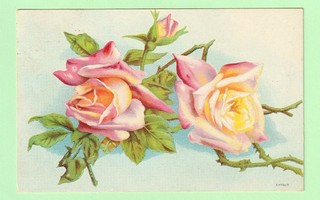 Ruusupostikortti vuodelta 1921