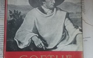 V.A. Koskenniemi - Goethe ja hänen maailmansa (sid.)
