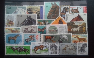 HEVOSIA postimerkkejä o 24 kpl. Iso N5 levy