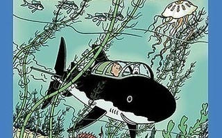 Tintin seikkailut - Rakhman Punaisen aarre DVD