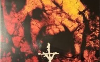 Blair Witch 2 :  Book Of Shadows  -  DVD