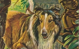 LASSIE 1973 5