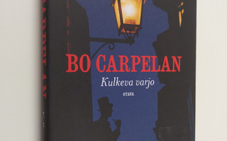 Bo Carpelan : Kulkeva varjo : kertomus pikkukaupungista