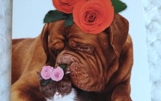 Koira ja kissa postikortti *onnea*
