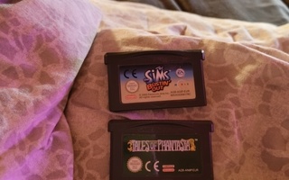 2 Game Boy Advance peliä