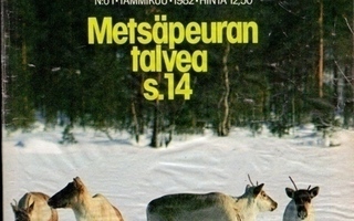 Metsästys ja Kalastus 1982 lehdet KANSIOSSA