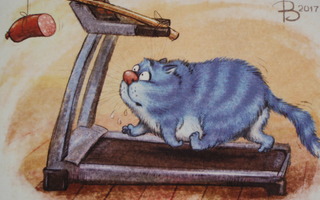 Irina Zeniuk sininen kissa juoksumatolla