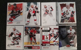 Jason Spezza x 16kpl / Ottawa Senators