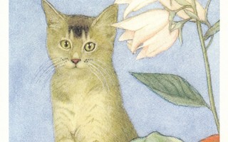 Matti Kota: Kissa ja valkoiset kukat