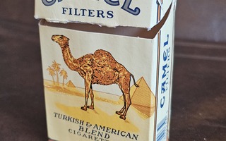 Camel 1996