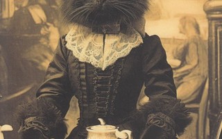 Musta kissa kahvilassa tyylikkäässä puvussa