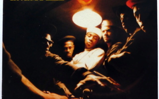 PUBLIC ENEMY Yo Bum Rush the Show CD 1987 HUIPPUKUNTO