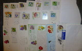 Nippu kukka-aiheisin postimerkein kulkeneita postikortteja