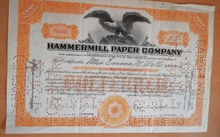 Hammermill Paper Company 1928 osakekirja