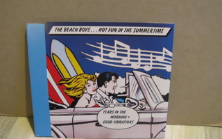 Beach Boys:Hot Fun In The Summertime cds