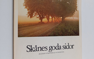 Skånes goda sidor : Ett försök till porträtt av en landsända