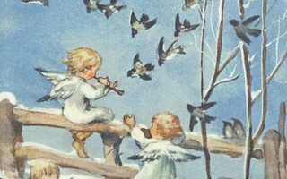 Erica von Kager: Kolme enkeliä ja linnut