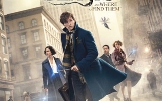 Fantastic Beasts and Where To Find Them  -   (Blu-ray)