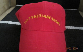 Lippalakki Takuuasennus