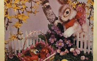 Pupu, kevätkukkia, munia, Pääsiäispk, p. 1966