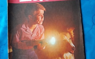 lassie 1961 5