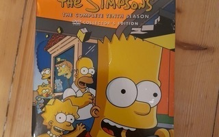 Simpsonit 10. tuotantokausi DVD