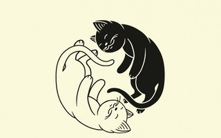Stephane Garnier: Elä kuin kissa