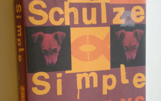 Ingo Schulze : Simple storys