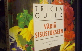 Guild : Väriä sisustukseen ( 1 p. 2000 ) Sis. postikulut