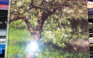 KRANNILA :  Omenapuu ( SIS POSTIKULU)