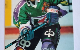 Gifu Jääkiekko SM liiga 1994 - no 95 Kari Martikainen